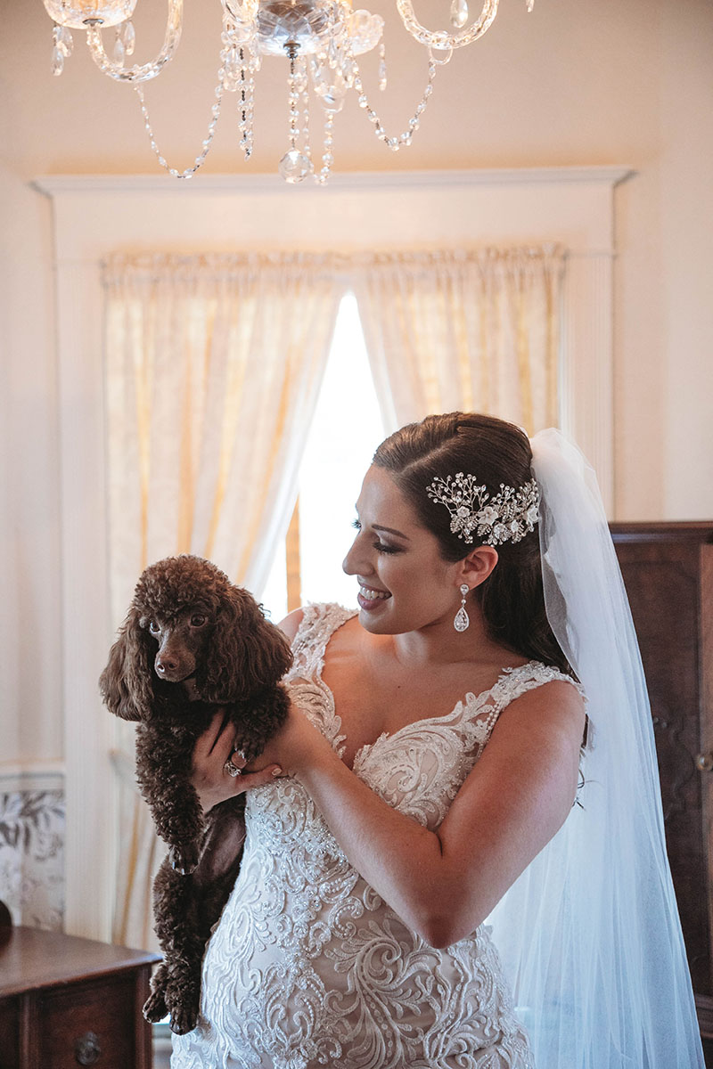 dog wedding 12